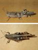 Trilophidia annulata
